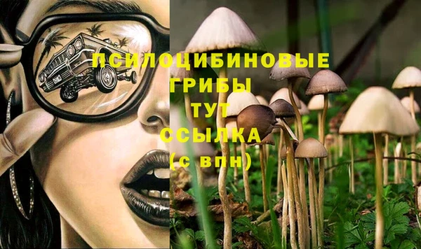 скорость Алзамай