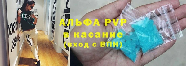 СК Алексин