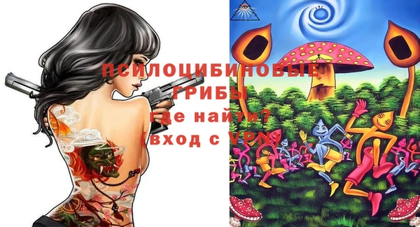 apvp Алексеевка