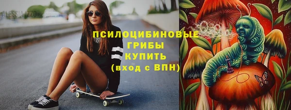 СК Алексин