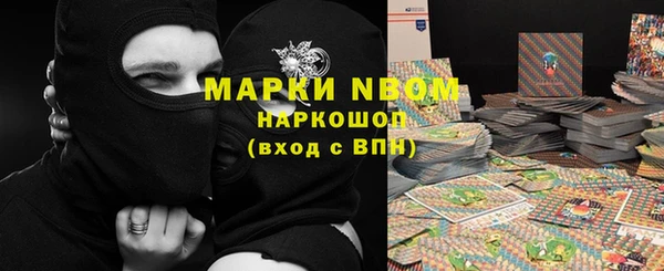 СК Алексин