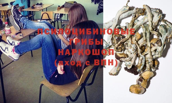 скорость Алзамай