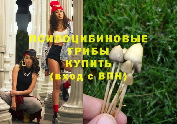 apvp Алексеевка