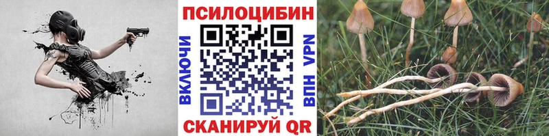 Галлюциногенные грибы MAGIC MUSHROOMS  Звенигово 