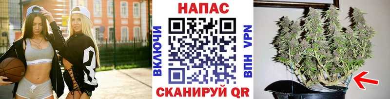 как найти закладки  Звенигово  Каннабис гибрид 